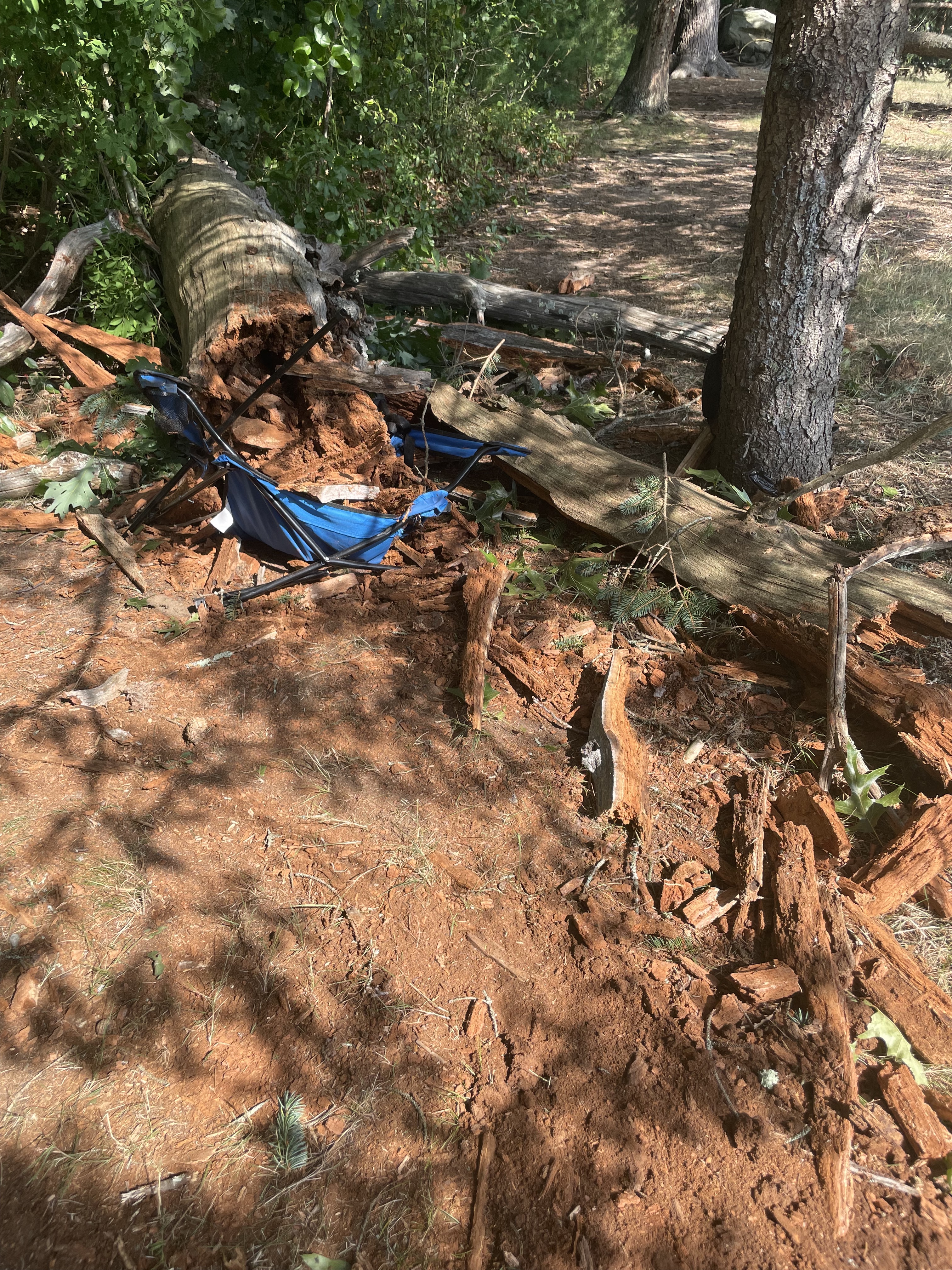 A tree fallen over a blue camping chair. The chair is crushed, the tree's width encompasses the width of the chair. In front of the chair are pulverized remnants of tree