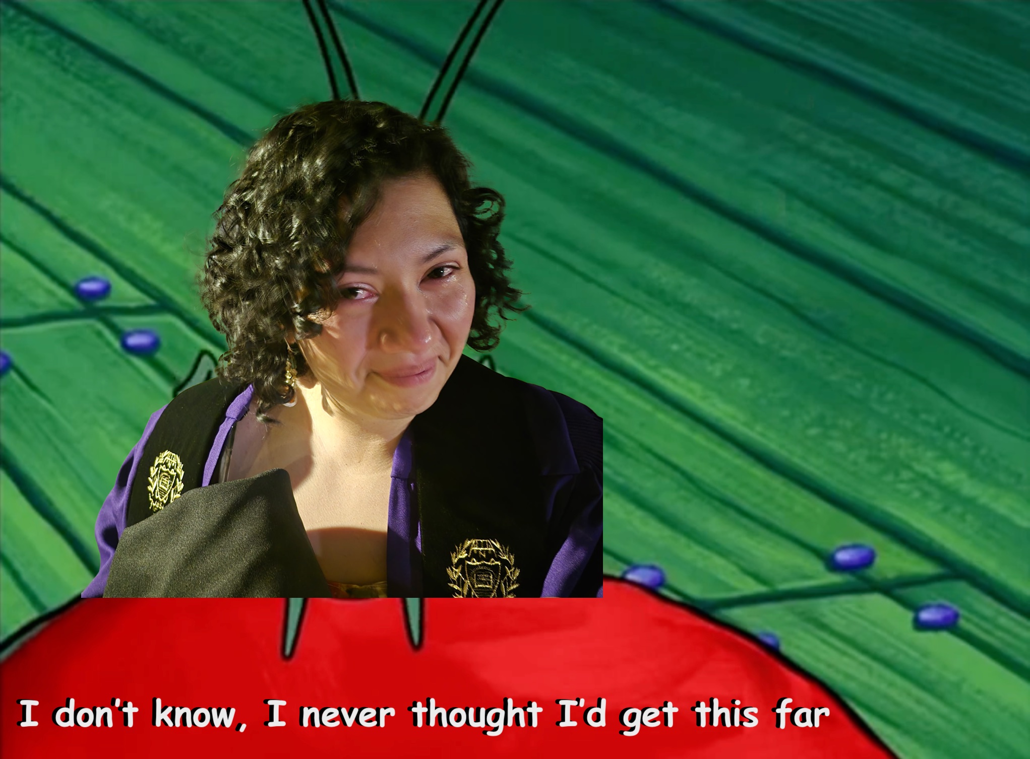 a picture of a tearful V is superimposed on Plankton shrugging (from Spongebob). White text in comic sans reads 'I don't know, I never thought I'd get this far'