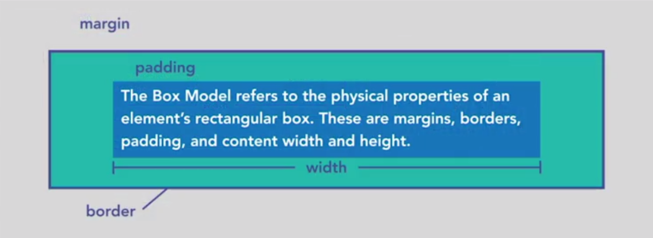 box model diagram